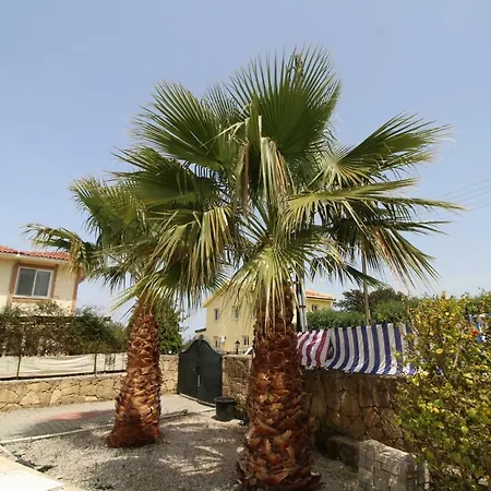 New Life With Pool - Alsancak